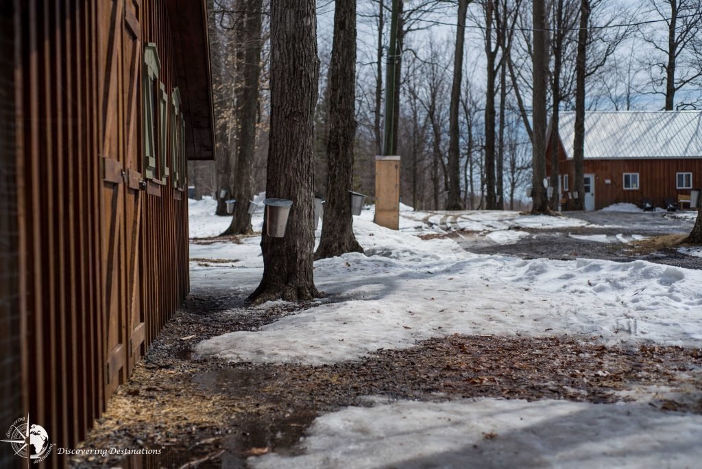 Sugar Shack